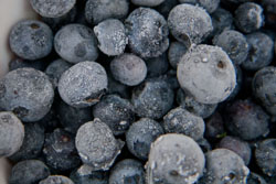 Kaip šaldyti mėlynes? Kaip šaldyti mėlynes? Kaip šaldyti šilauoges?