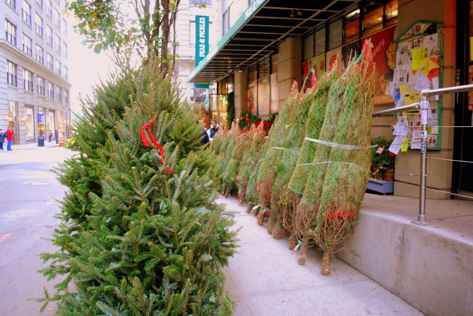 Mille Fiori Favoriti It Smells Like Christmas!