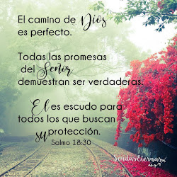 biblico versiculo biblicos versiculos imagenes dios aniversario biblia sendas eternas sobre promesas palabra fe versos amor cristianos proteccion cristianas 1280