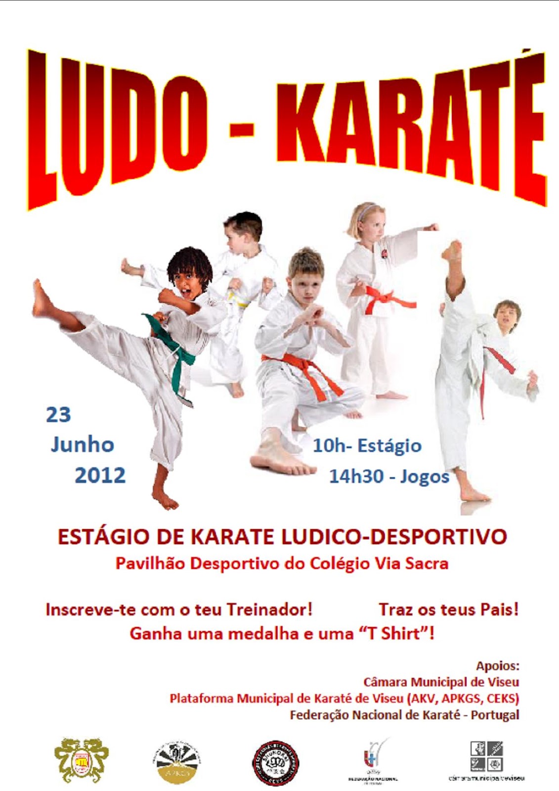 Associação Karate Shotokan Trancoso EstÁgio KaratÉ Ludico Desportivo Viseu 