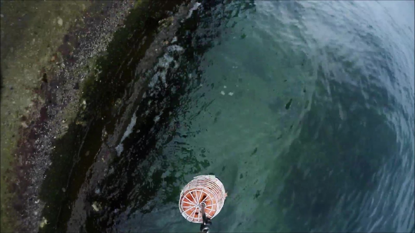 水辺 De Asobo のブログ 解説ブログ オキアミを餌カゴに入れて海底に沈めてみた