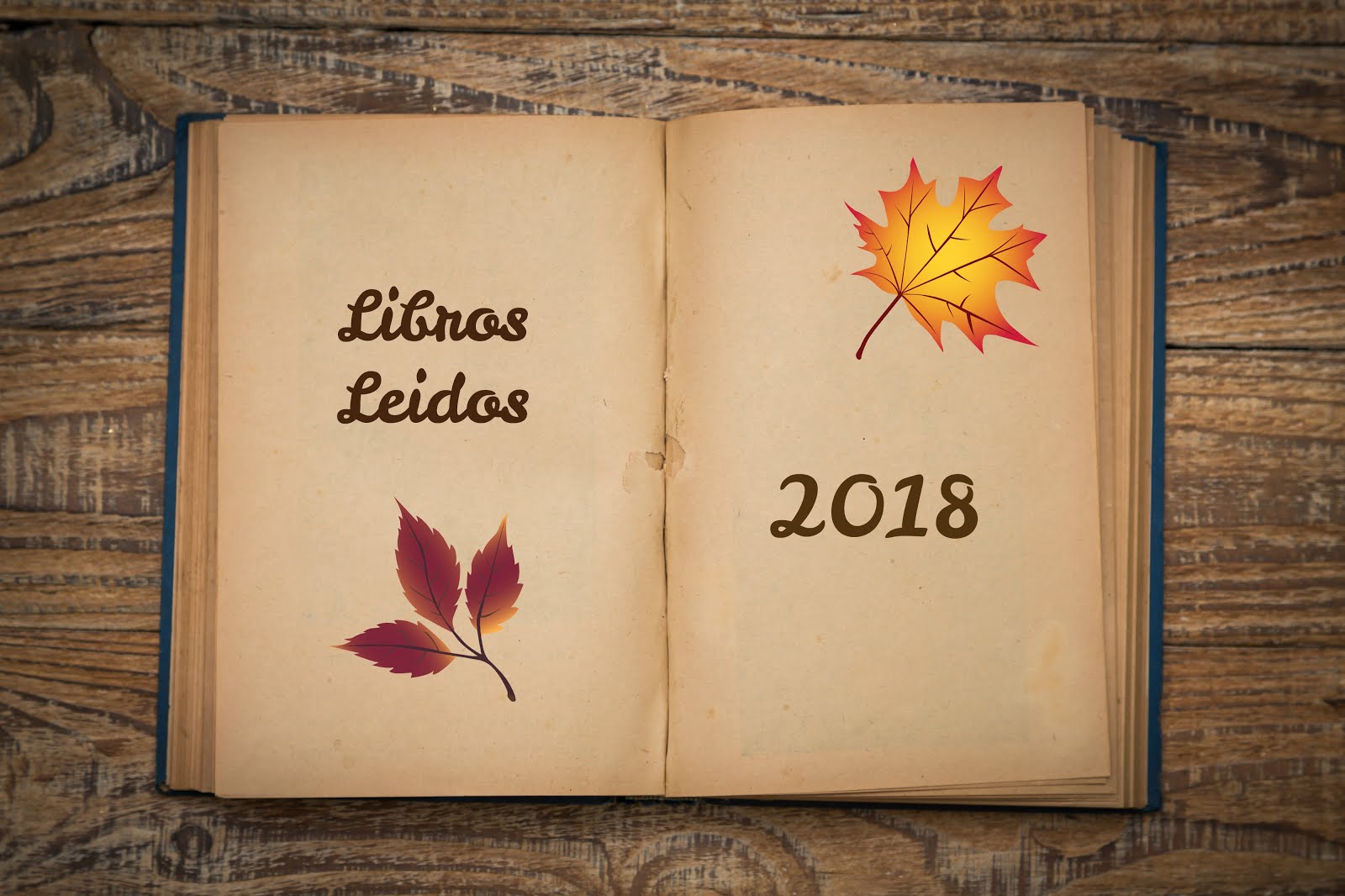 LIBROS LEIDOS EN 2018