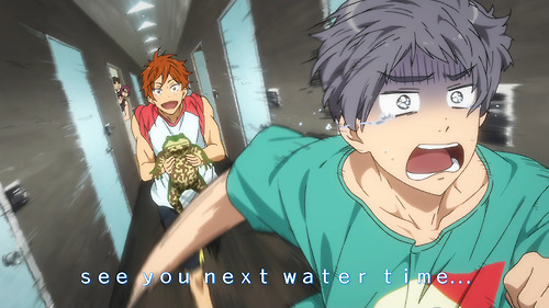 جميع حلقات والحلقات الخاصة من انمي Free S2 مترجم عرب ساما