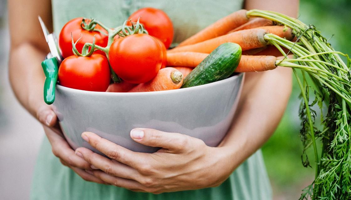 Seemorerocks Asphalt and climate changeinduced crop failurs lead to vegetable shortages