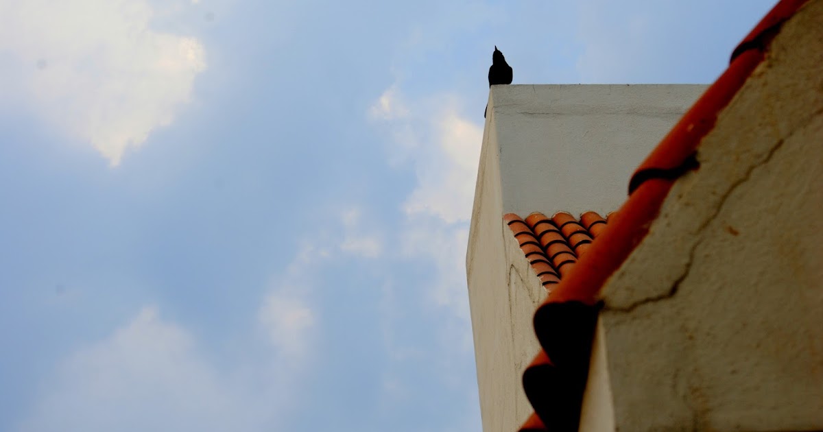 “I Believe The World Is Incomprehensibly Beautiful - An Endless Prospect Of Magic And Wonder.” - Ansel Adams