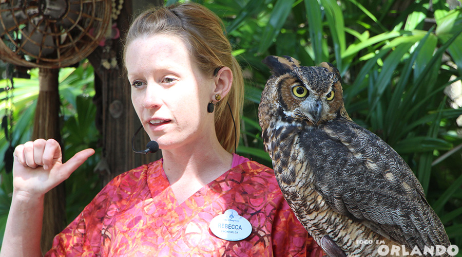 Winged Encounter, Disney's Animal Kingdom, Orlando