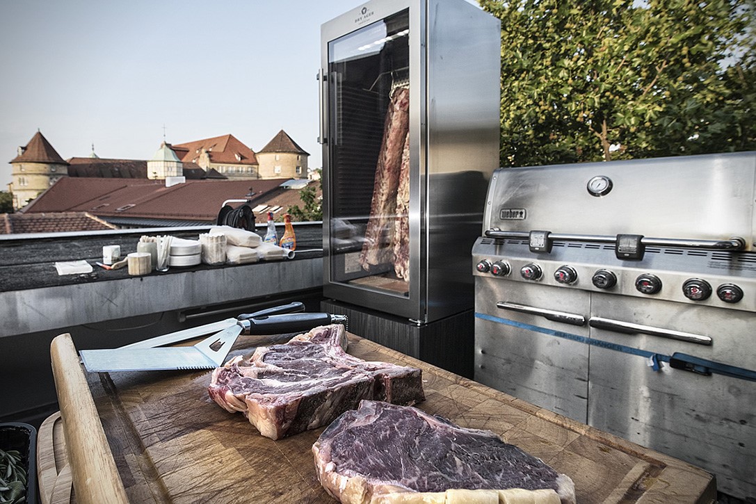 Et Kuru Dinlendirme Dolabı Dry Ager DX 5001000 TeknOlsun