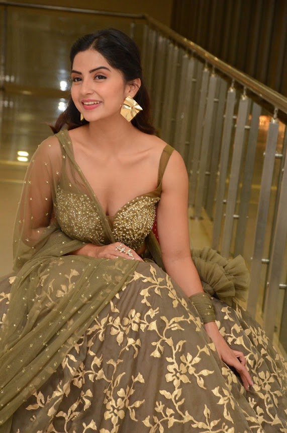 Kashmira Pardeshi at Narthanasala Pre-Release