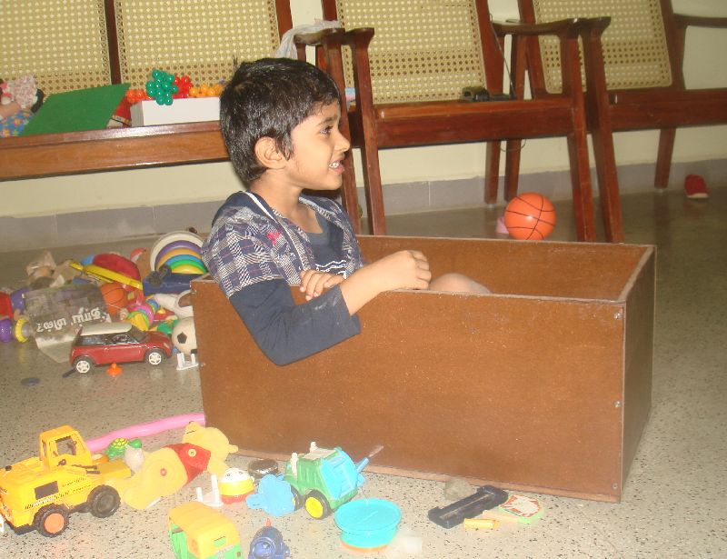 House on the Rock: MDF toy box