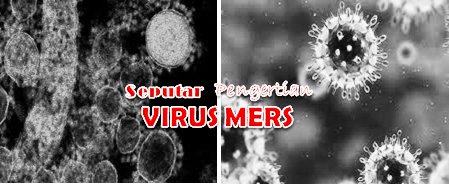 Seputar Pengertian Virus MERS