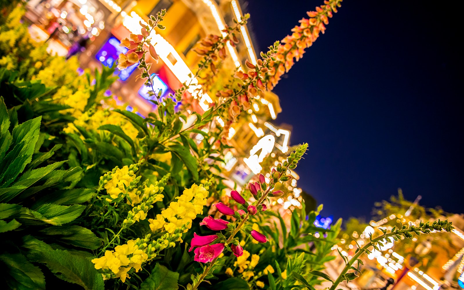 Main Street Flowers