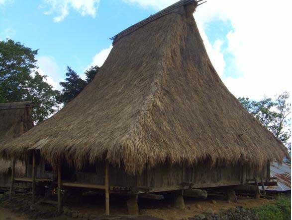 Gambar Mbaru Niang Keunikan Rumah Adat Manggarai Waerebo 