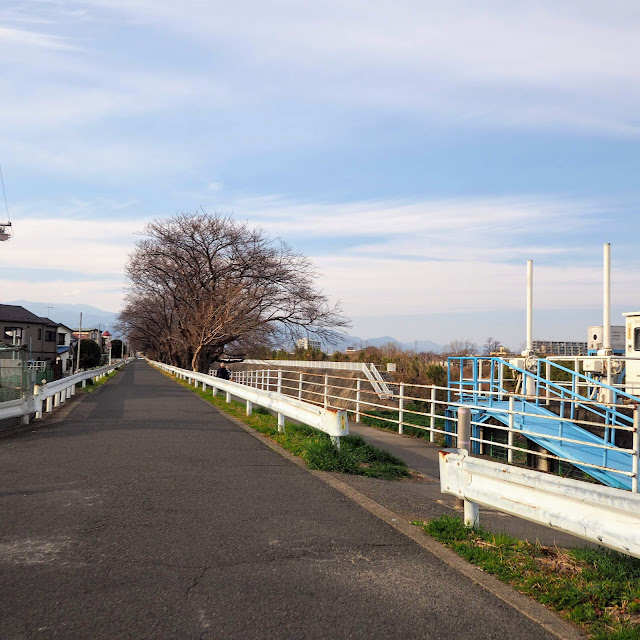 金目川サイクリングコース