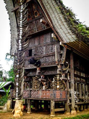 Harmoni Alam dan Budaya di Pelataran Tongkonan, Pedesaan Toraja