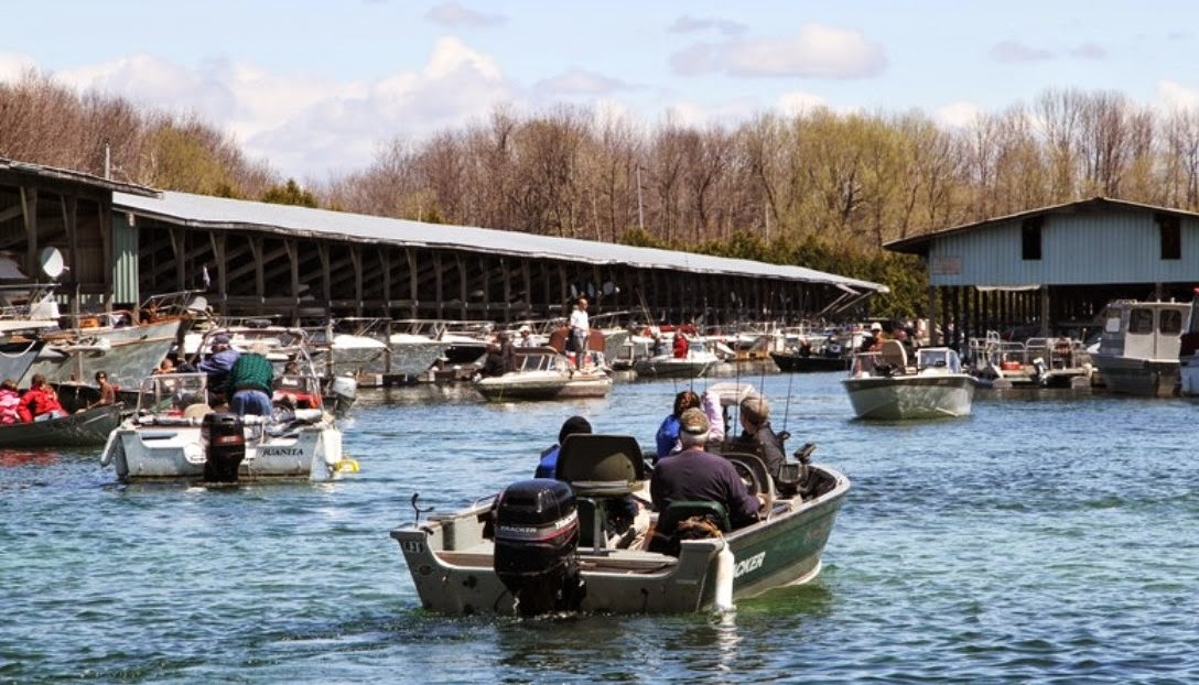 One Tank Trips Go Fish! Derbies and events a hit with anglers in Ontario
