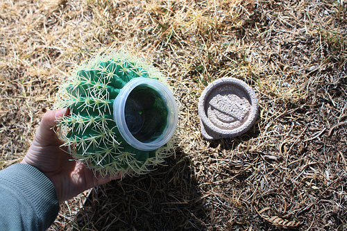 Cactus geocache. Fun for Free stuff friday from Fiscal Fitness Phoenix