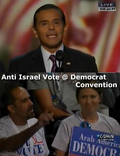 Democrat Vote against Israel