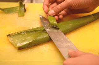 How To Make Aloe Vera Juice At Home? How To Make Aloe Vera Juice At Home?