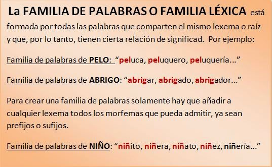 Mayores De Primaria Hijas De Jesus De Pamplona Lengua 6º Campo