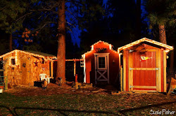 coop chicken susie fisher cyber holiday tour oregon