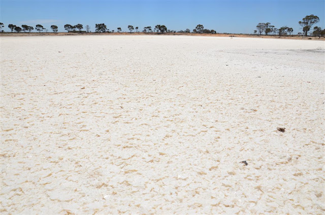 Australien 2013: Von Northam zum Wave Rock