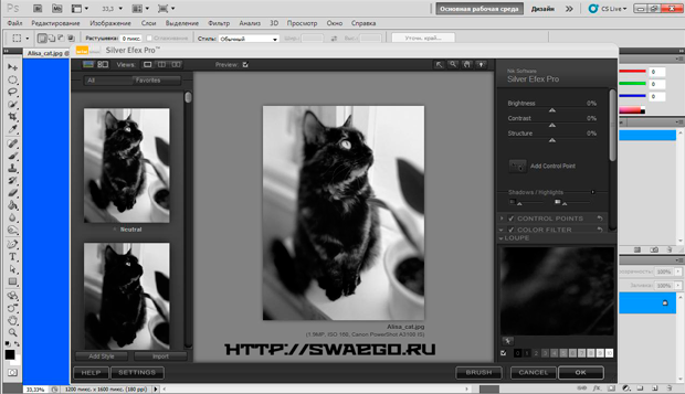 Nik Software Silver Efex Pro 1.003 for Adobe Photoshop