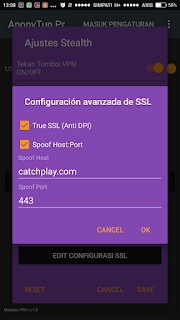Tutorial Setting AnonyTun Pro Untuk Telkomsel Sawer VideoMax Gambar 5