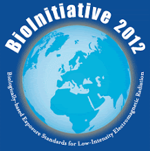 BioInitiative 2012
