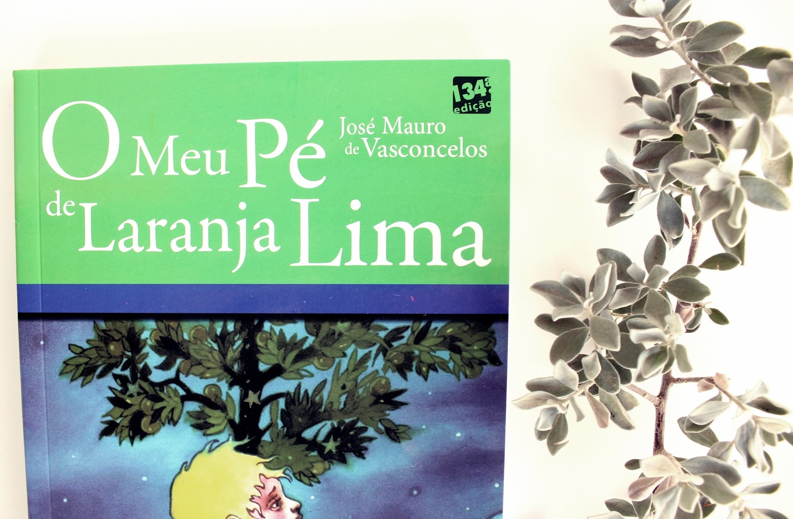 Resenha O Meu Pé de Laranja Lima, de José Mauro de Vasconcelos Livro Doce Livro ♥