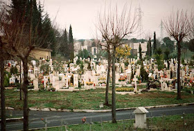 The Cimitero Flaminio in Rome, where Carosone was buried, is the largest cemetery in the city