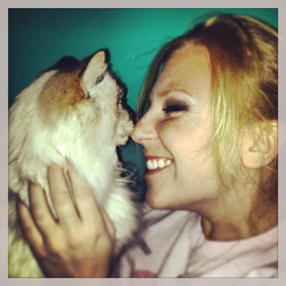 honey and horseshoes: The Mad Crapper