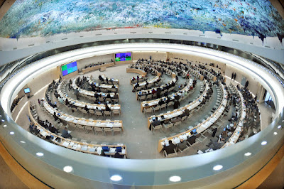 UNPO Ungkap Kasus HAM Papua, Aceh, Brasil ke PBB