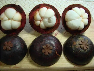 manggis-atau-mangosteen