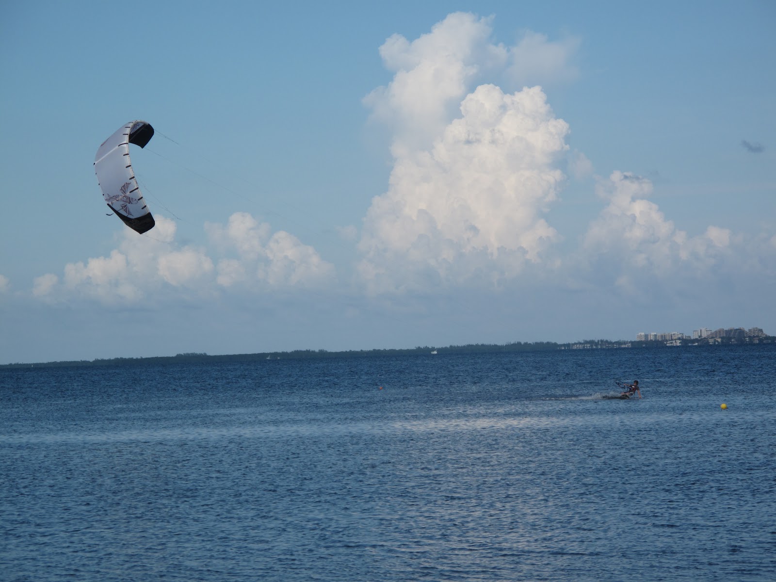 The Parks Department Matheson Hammock Park