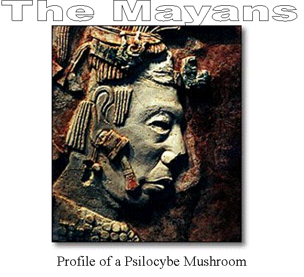 tansan aspect in maya glyphs tansan aspect in maya glyphs