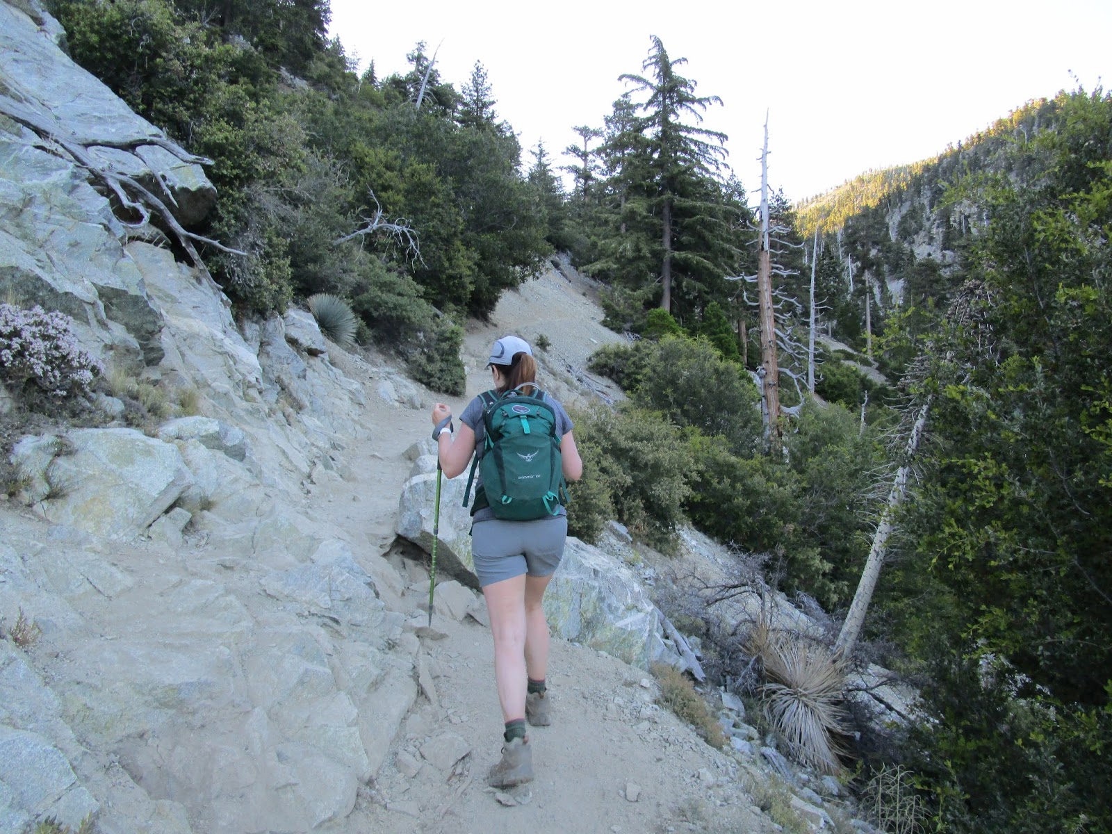 Ice House Canyon Trail