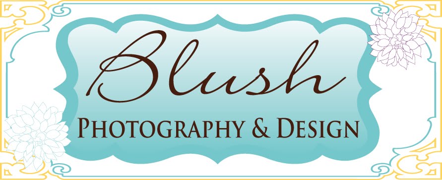 Blush Photography - Asheville Newborn Photographer