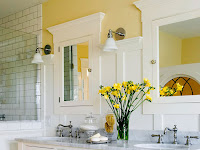 elegant bathroom color schemes