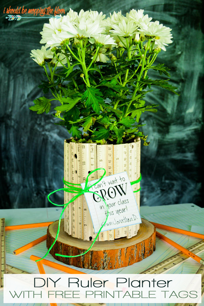 Budget Friendly Back to School Teacher Gift i should be mopping the floor