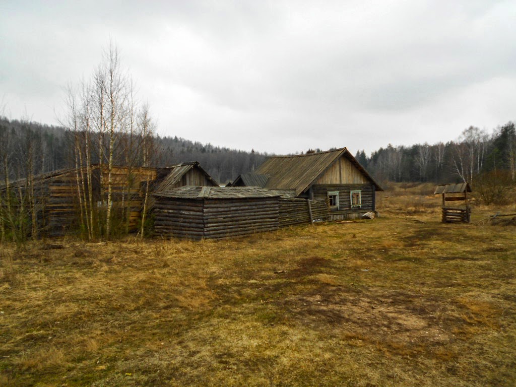 Деревня Каменка Беларусь