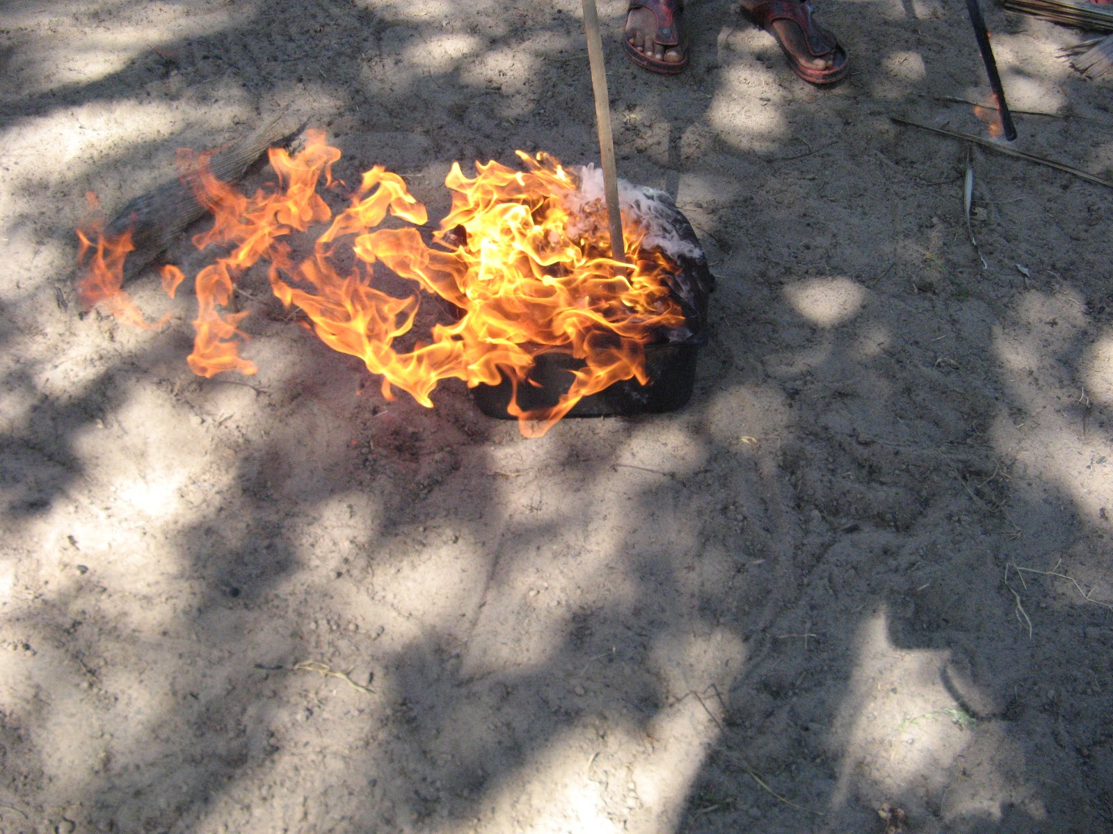 CASHEW NUTS FROM KILIFI