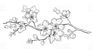 Sketsa Bunga Sakura