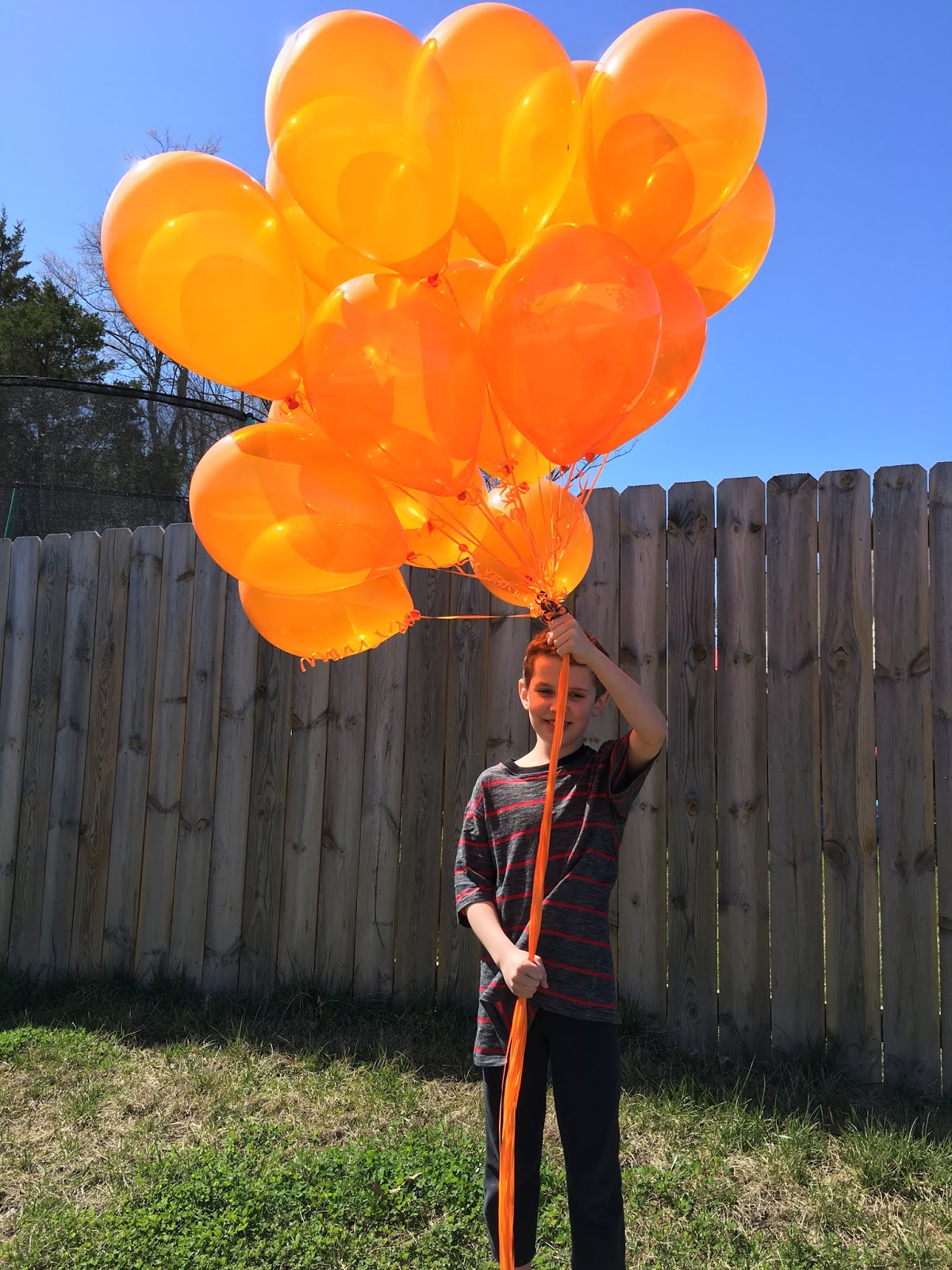 March Balloon and Gift Deliveries by Celebrate the Day