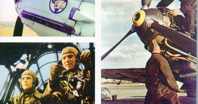 Luftwaffe In Colour: The Victory Years: 1939&ndash;1942