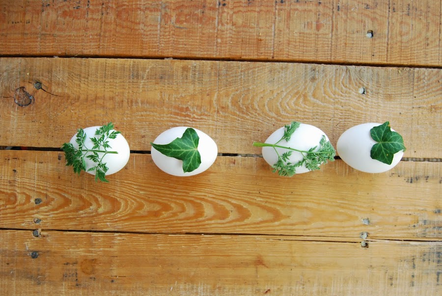 huevos de pascua teñidos con cebolla