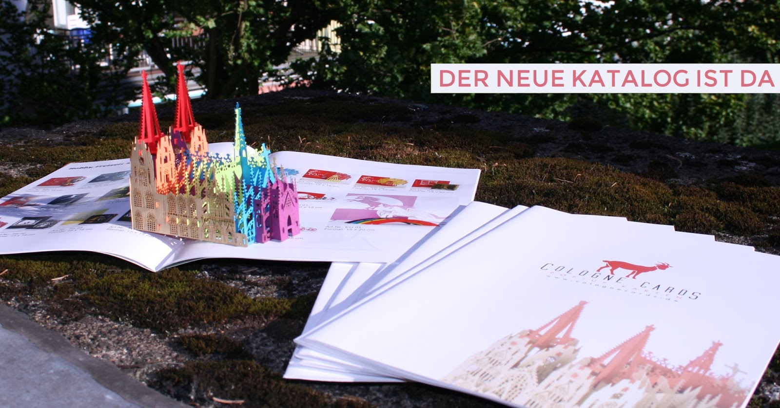 Demokratisch Links 2019 Januar