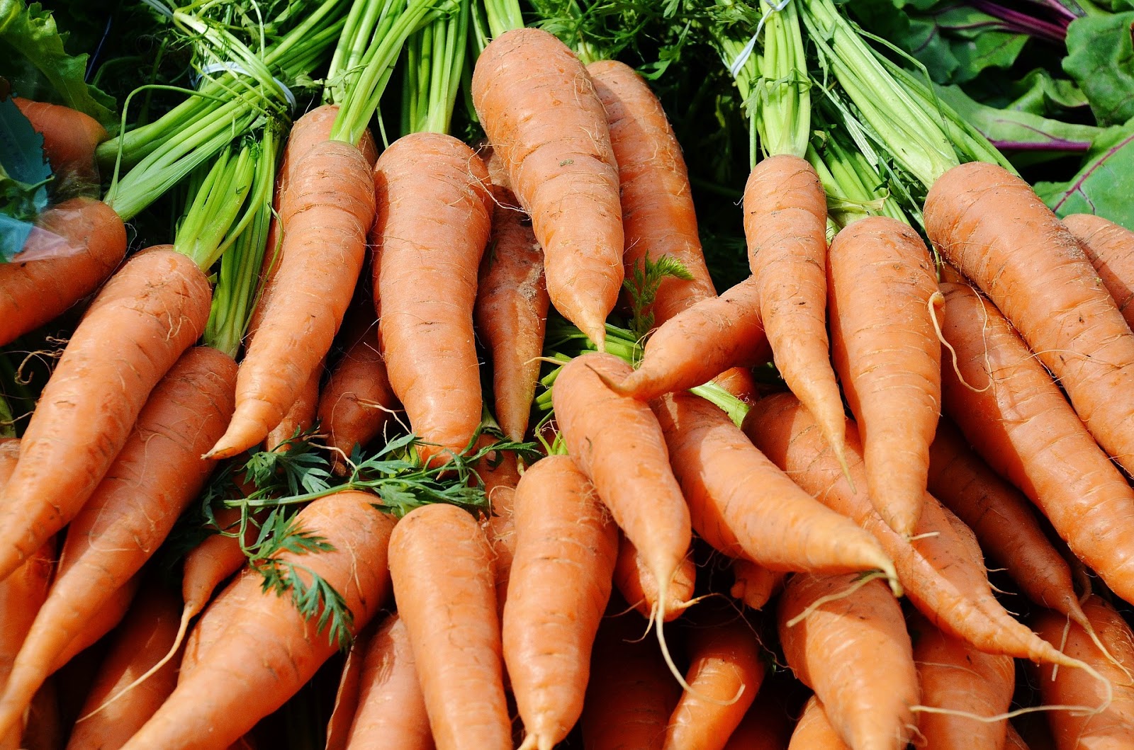 Tips για να ξεχωρίζετε και να διατηρείτε  τα καρότα