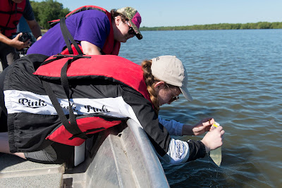UIS faculty and students partner with Brazilian researchers to study river floodplain conservation