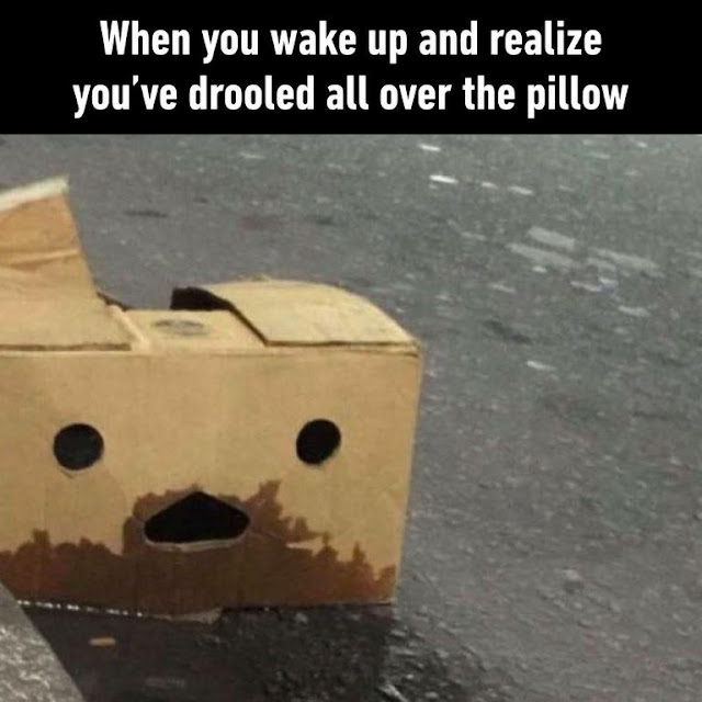 When you wake up and realize you've drooled all over the pillow