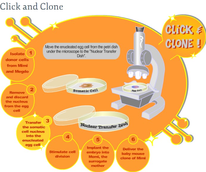 CREATORS GALAXY Click and Clone...!!